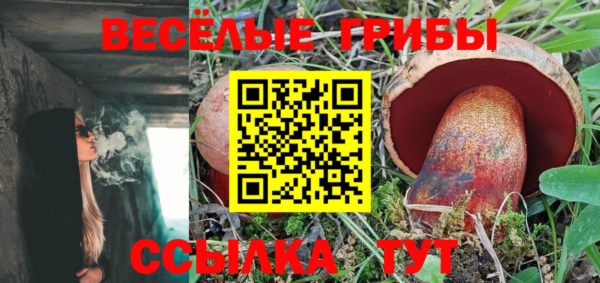 Галлюциногенные грибы MAGIC MUSHROOMS Урюпинск