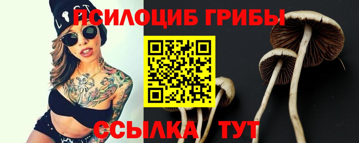 Псилоцибиновые грибы ЛСД  Вход с VPN  Урюпинск 
